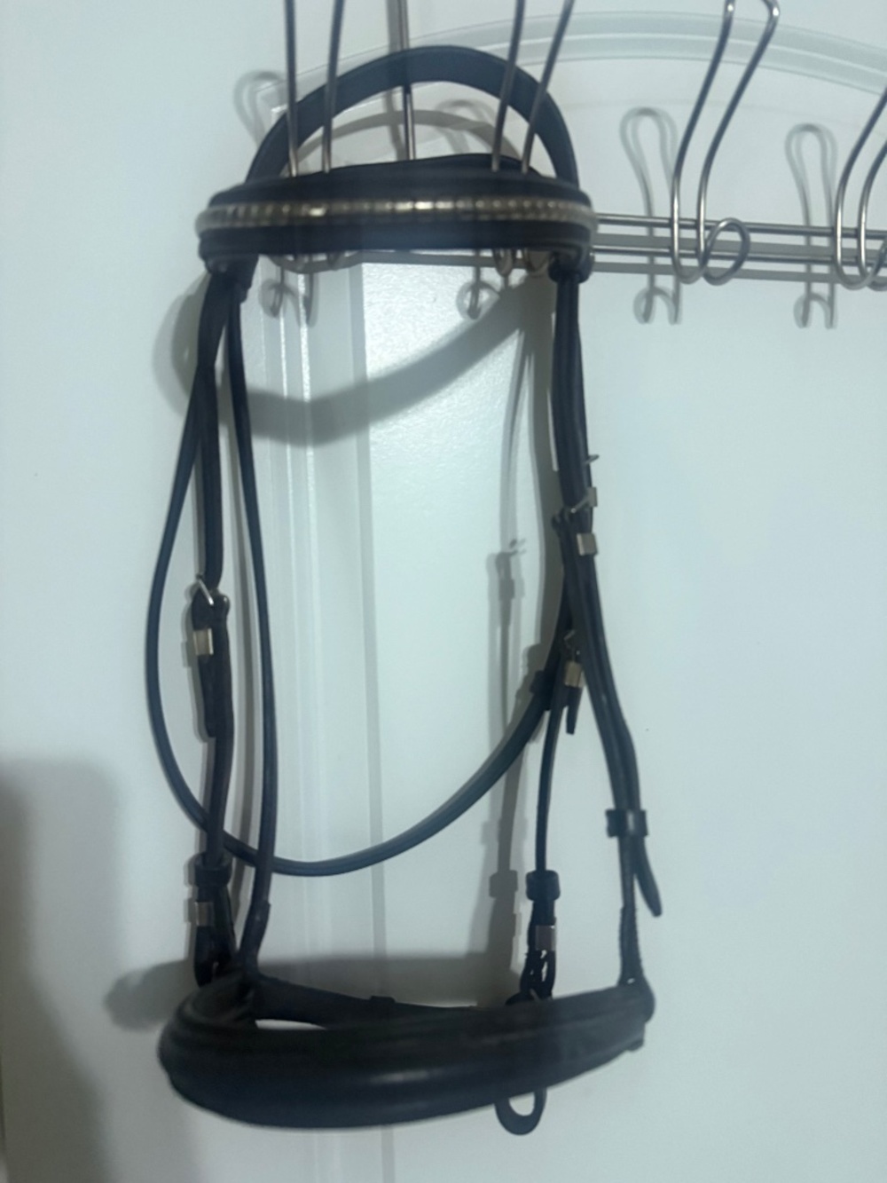 HDR bridle for cob